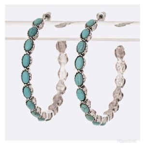 Turquoise Hoops